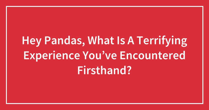 Hey Pandas, What Is A Terrifying Experience You’ve Encountered Firsthand? (Closed)