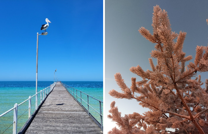 Hey Pandas, Post The Most Beautiful Picture You Have (Closed)