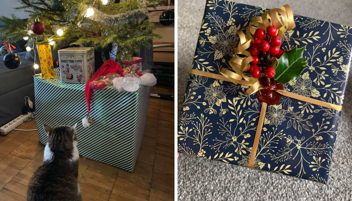 Hey Pandas, Show Us Your Best-Packed Christmas Present (Closed)