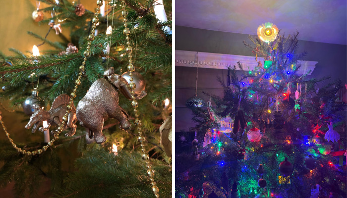 Hey Pandas, Show Us Your Christmas Decorations (Closed)