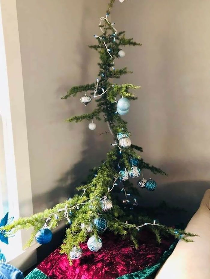 When The Four-Year-Old Has The Pick Of Any Tree In The Forest... And You Just Go With It