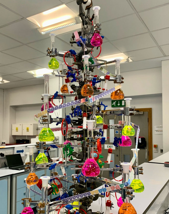 Loving The Christmas Tree In Our Teaching Lab
