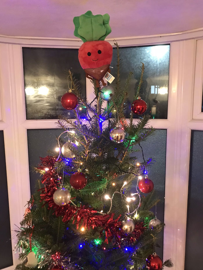 An Absolute Star On The Top Of Our Tree This Year