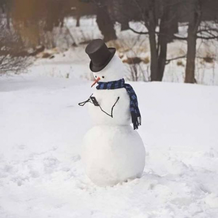 Snowman With An iPhone
