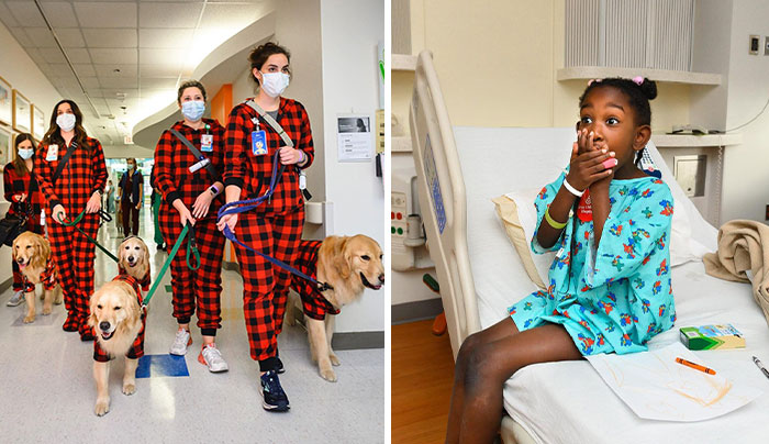 These Dogs Brought A Lot Of Joy To Ill Children That Had To Spend Christmas In A Hospital