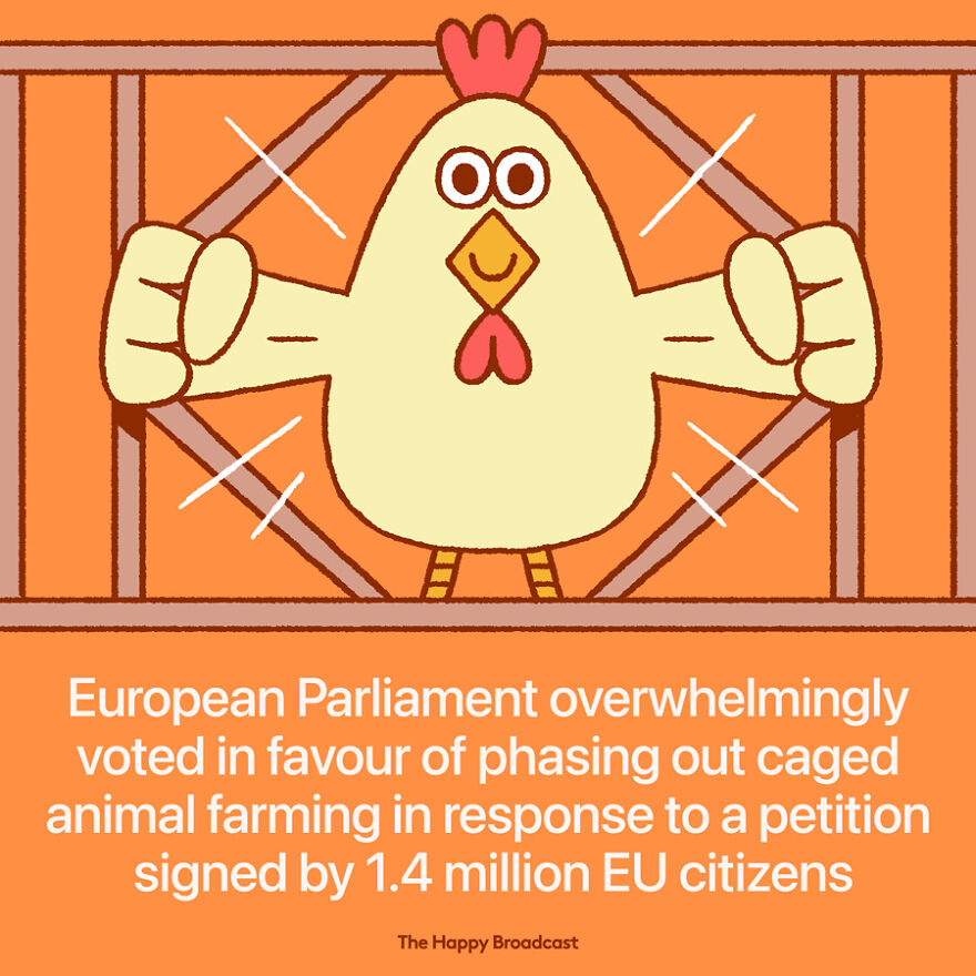 I’m Honestly Fed Up With All The Bad News So I Illustrated The Best News Of 2021