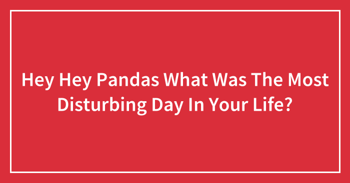 Hey Hey Pandas What Was The Most Disturbing Day In Your Life?
