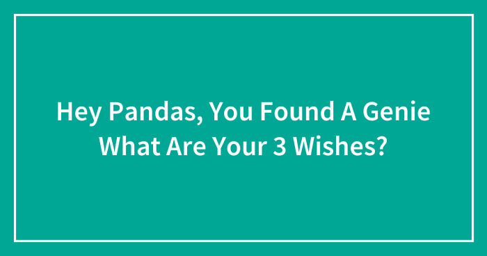 Hey Pandas, You Found A Genie What Are Your 3 Wishes? (Closed)