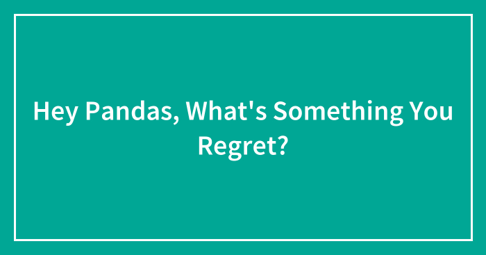 Hey Pandas, What’s Something You Regret?