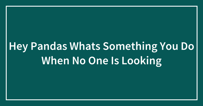Hey Pandas Whats Something You Do When No One Is Looking
