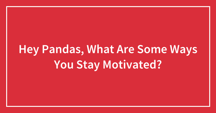 Hey Pandas, What Are Some Ways You Stay Motivated?