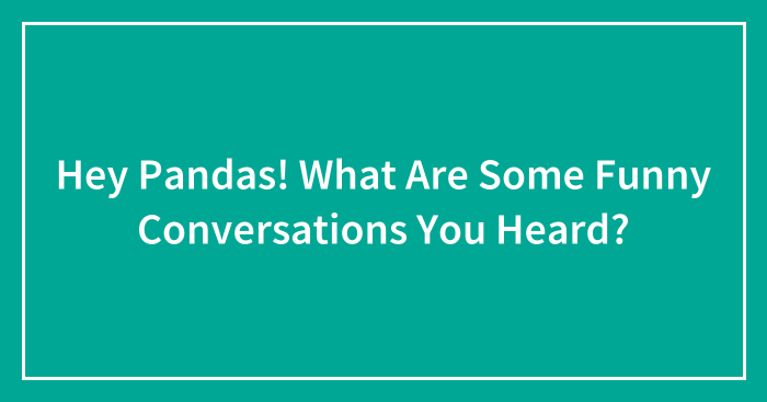 Hey Pandas! What Are Some Funny Conversations You Heard?