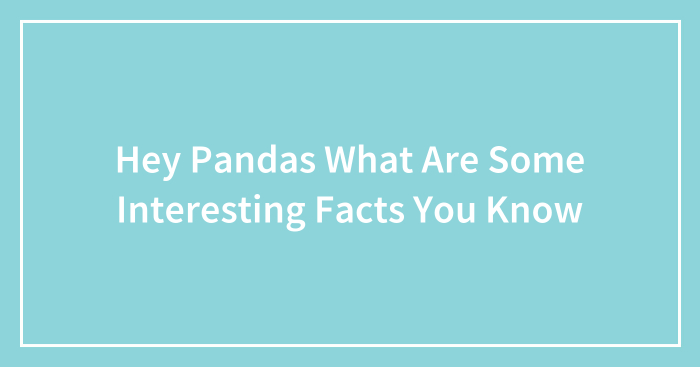 Hey Pandas What Are Some Interesting Facts You Know