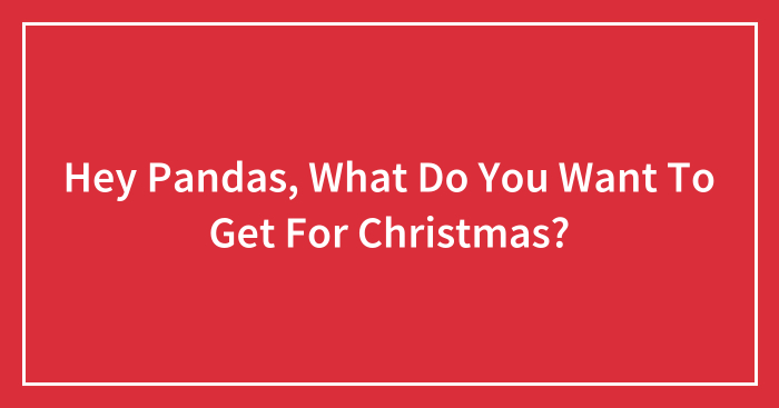 Hey Pandas, What Do You Want To Get For Christmas?