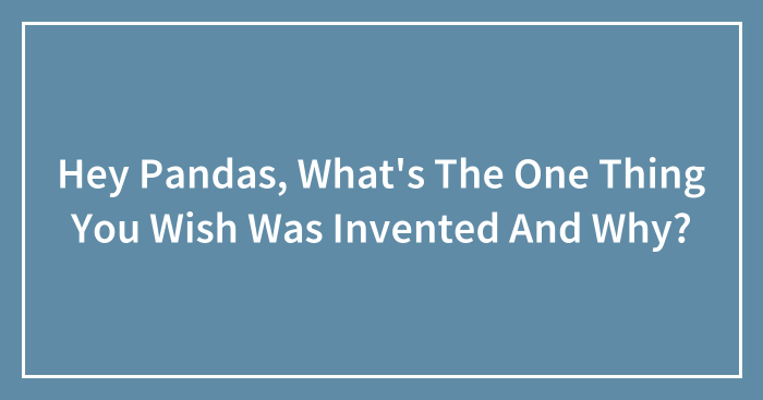 Hey Pandas, What’s The One Thing You Wish Was Invented And Why?