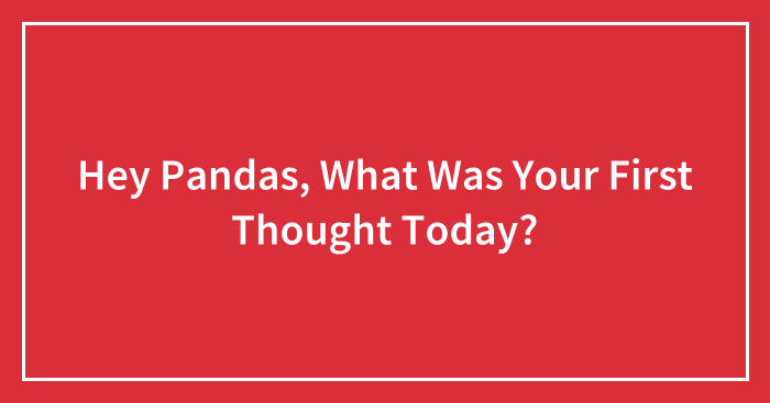 Hey Pandas, What Was Your First Thought Today?