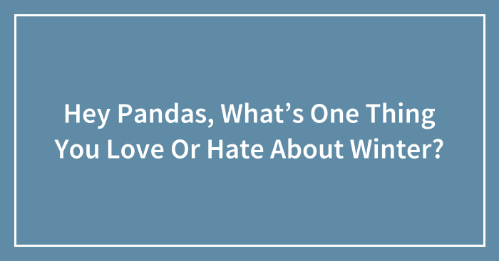 Hey Pandas, What’s One Thing You Love Or Hate About Winter?