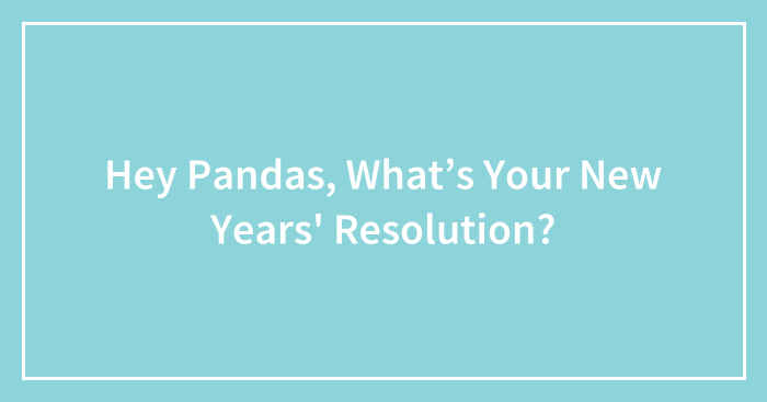 Hey Pandas, What’s Your New Years’ Resolution?