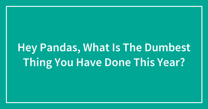 Hey Pandas, What Is The Dumbest Thing You Have Done This Year?