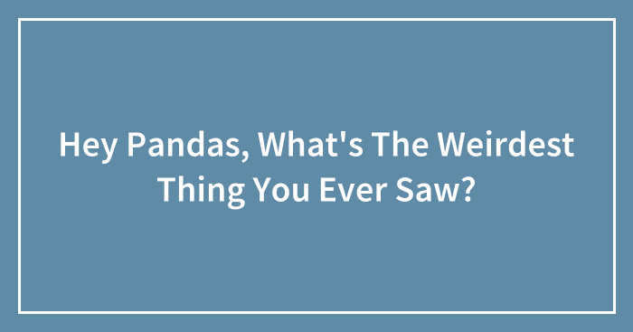 Hey Pandas, What’s The Weirdest Thing You Ever Saw?
