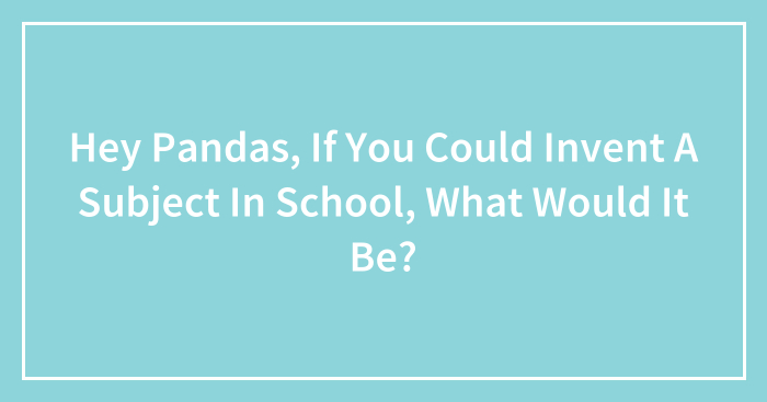 Hey Pandas, If You Could Invent A Subject In School, What Would It Be? (Closed)