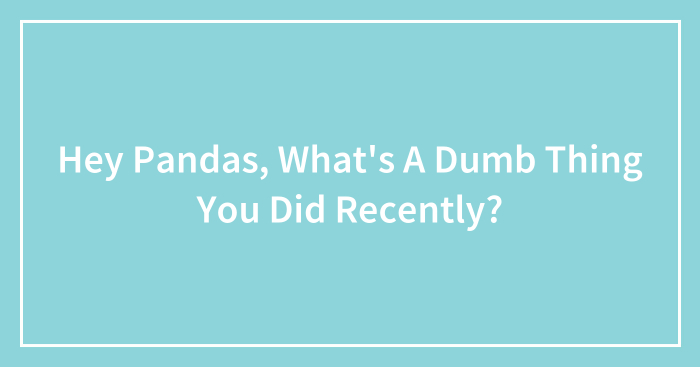 Hey Pandas, What’s A Dumb Thing You Did Recently?