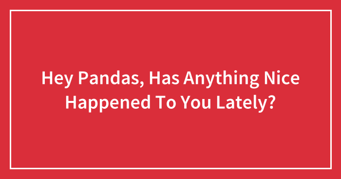 Hey Pandas, Has Anything Nice Happened To You Lately?