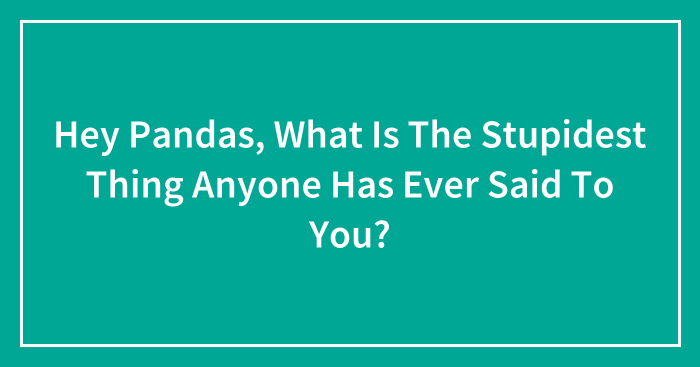 Hey Pandas, What Is The Stupidest Thing Anyone Has Ever Said To You?