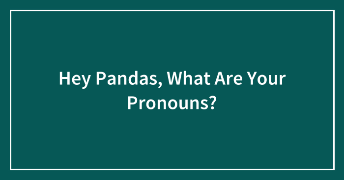 Hey Pandas, What Are Your Pronouns?