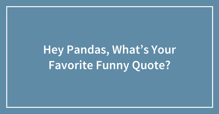 Hey Pandas, What’s Your Favorite Funny Quote?