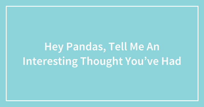Hey Pandas, Tell Me An Interesting Thought You’ve Had