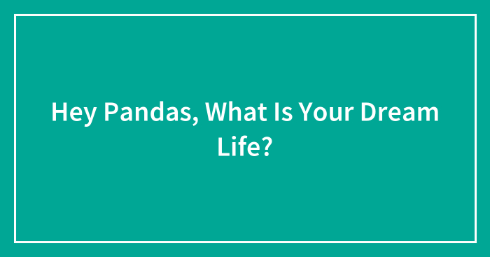 Hey Pandas, What Is Your Dream Life?