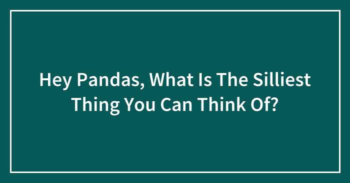 Hey Pandas, What Is The Silliest Thing You Can Think Of?