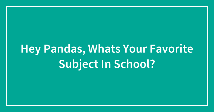 Hey Pandas, Whats Your Favorite Subject In School?