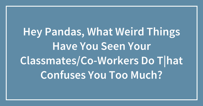 Hey Pandas, What Weird Things Have You Seen Your Classmates/Co-Workers Do T|hat Confuses You Too Much?