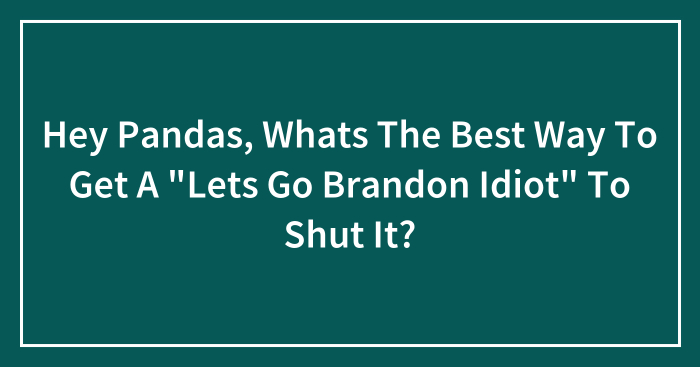 Hey Pandas, Whats The Best Way To Get A “Lets Go Brandon Idiot” To Shut It?