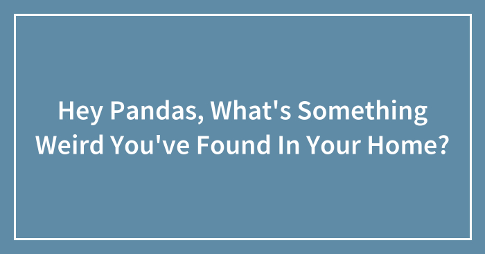 Hey Pandas, What’s Something Weird You’ve Found In Your Home?