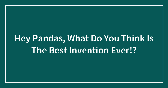 Hey Pandas, What Do You Think Is The Best Invention Ever!?