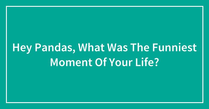 Hey Pandas, What Was The Funniest Moment Of Your Life?