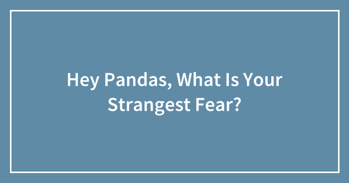 Hey Pandas, What Is Your Strangest Fear?