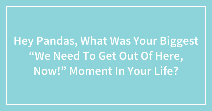 Hey Pandas, What Was Your Biggest “We Need To Get Out Of Here, Now!” Moment In Your Life? (Closed)