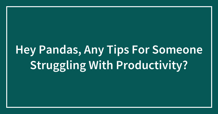 Hey Pandas, Any Tips For Someone Struggling With Productivity? (Closed)