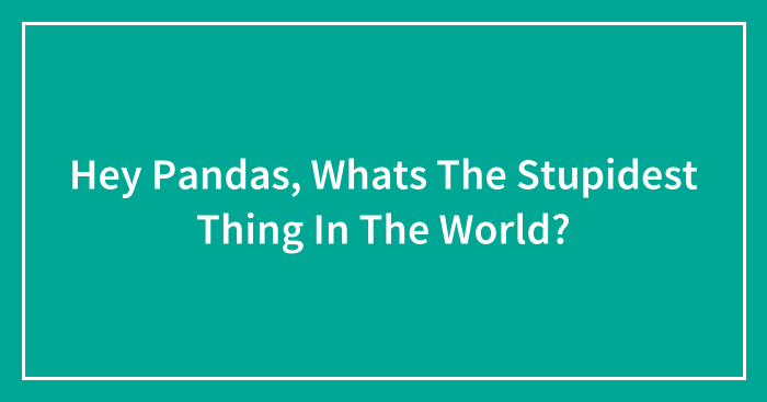 Hey Pandas, Whats The Stupidest Thing In The World?