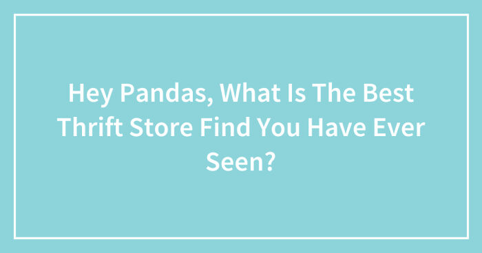 Hey Pandas, What Is The Best Thrift Store Find You Have Ever Seen?