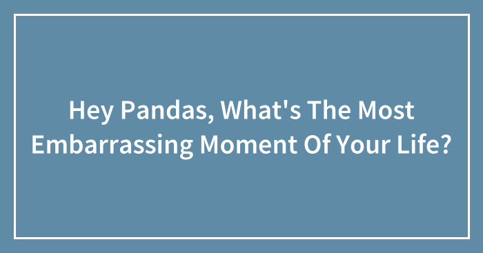 Hey Pandas, What’s The Most Embarrassing Moment Of Your Life?