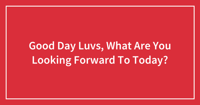 Good Day Luvs, What Are You Looking Forward To Today?