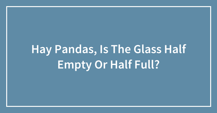 Hay Pandas, Is The Glass Half Empty Or Half Full?