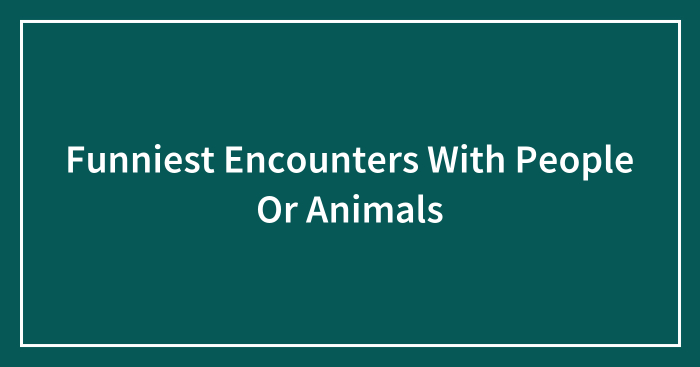 Funniest Encounters With People Or Animals