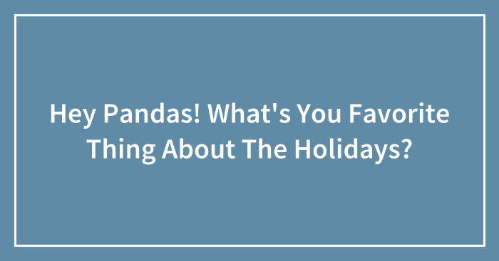 Hey Pandas! What’s You Favorite Thing About The Holidays?
