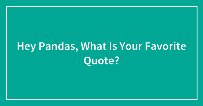 Hey Pandas, What Is Your Favorite Quote?